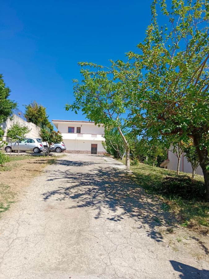 B&B Collemare Scalea Eksteriør bilde